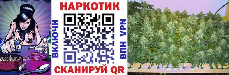 Купить закладку Марихуана  Псилоцибиновые грибы  Гашиш  Меф мяу мяу  КОКАИН  Бирюч