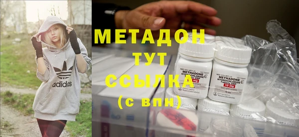 прущие грибы Пролетарск