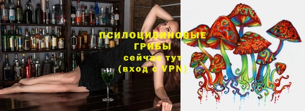 дурь Приозерск